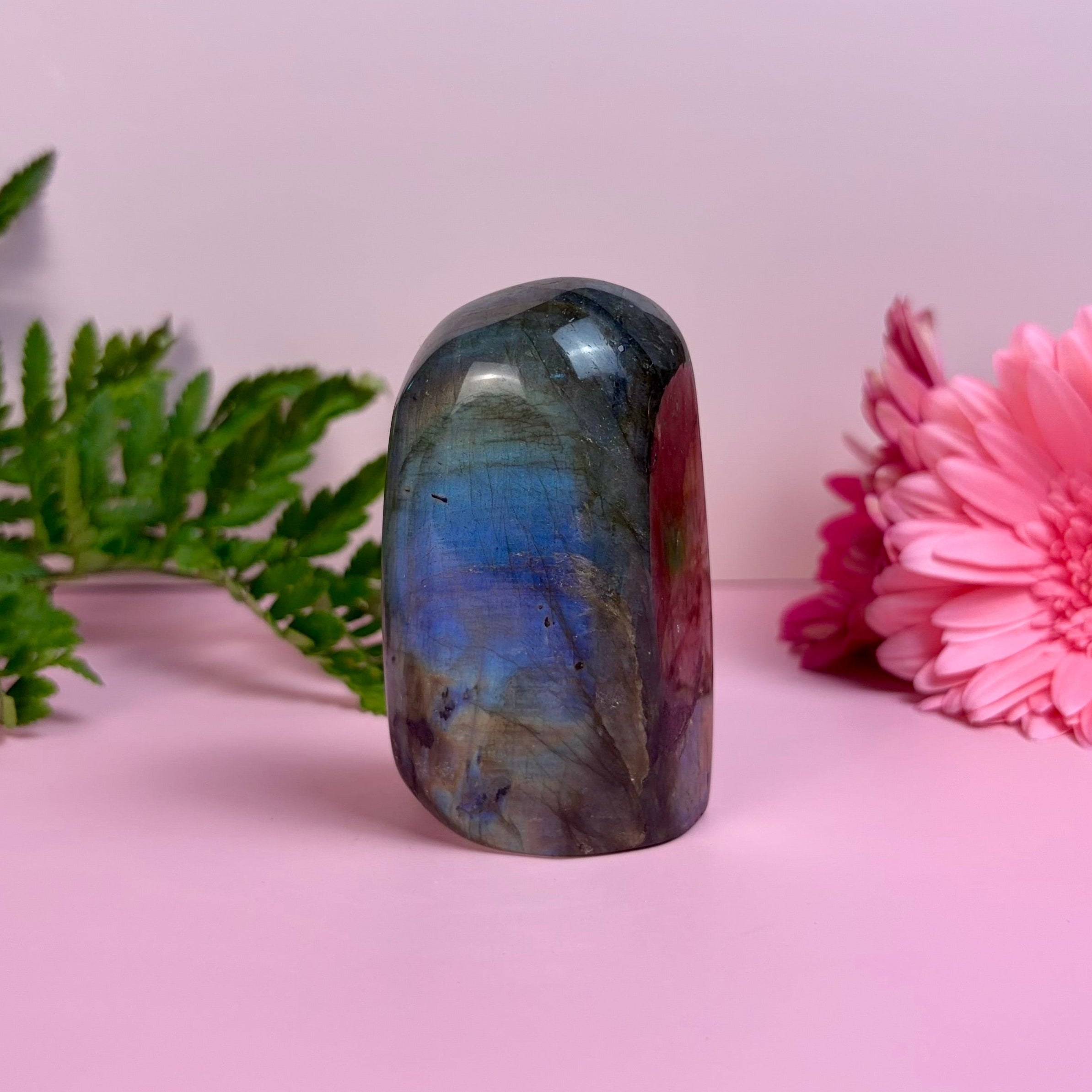 Labradorite Freeform | C