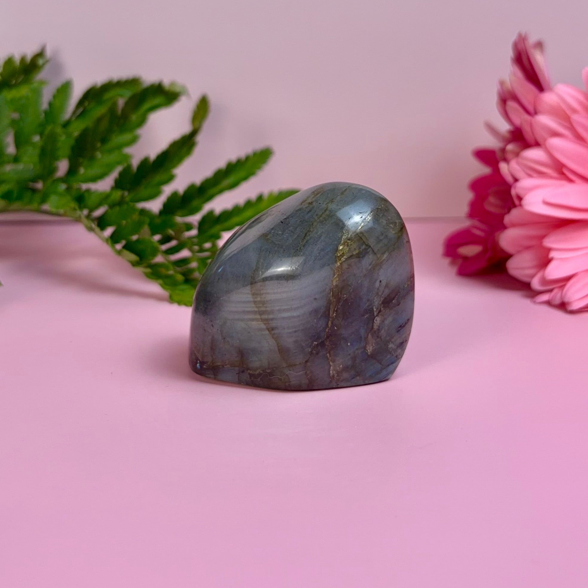 Labradorite Freeform | A