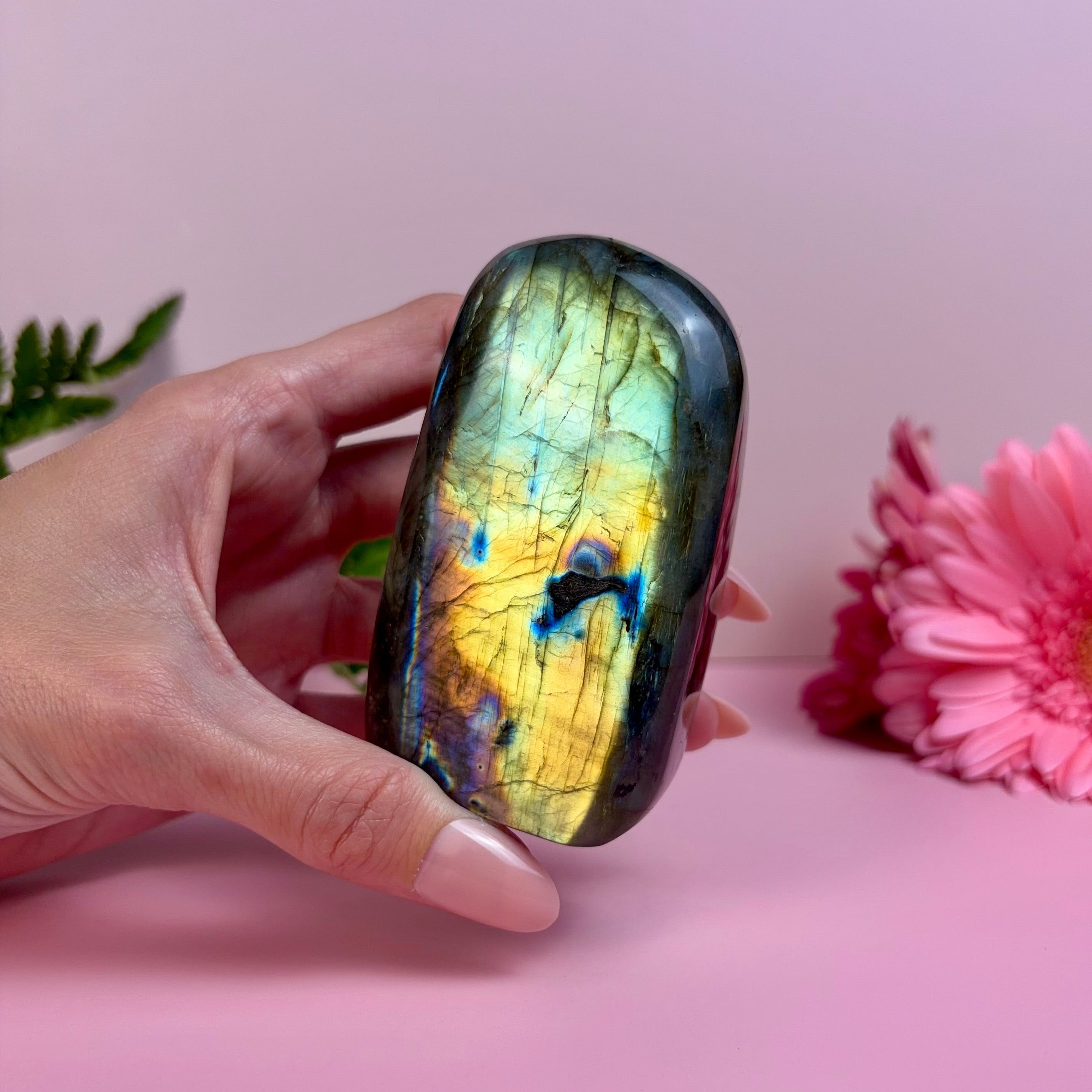 Labradorite Freeform | C