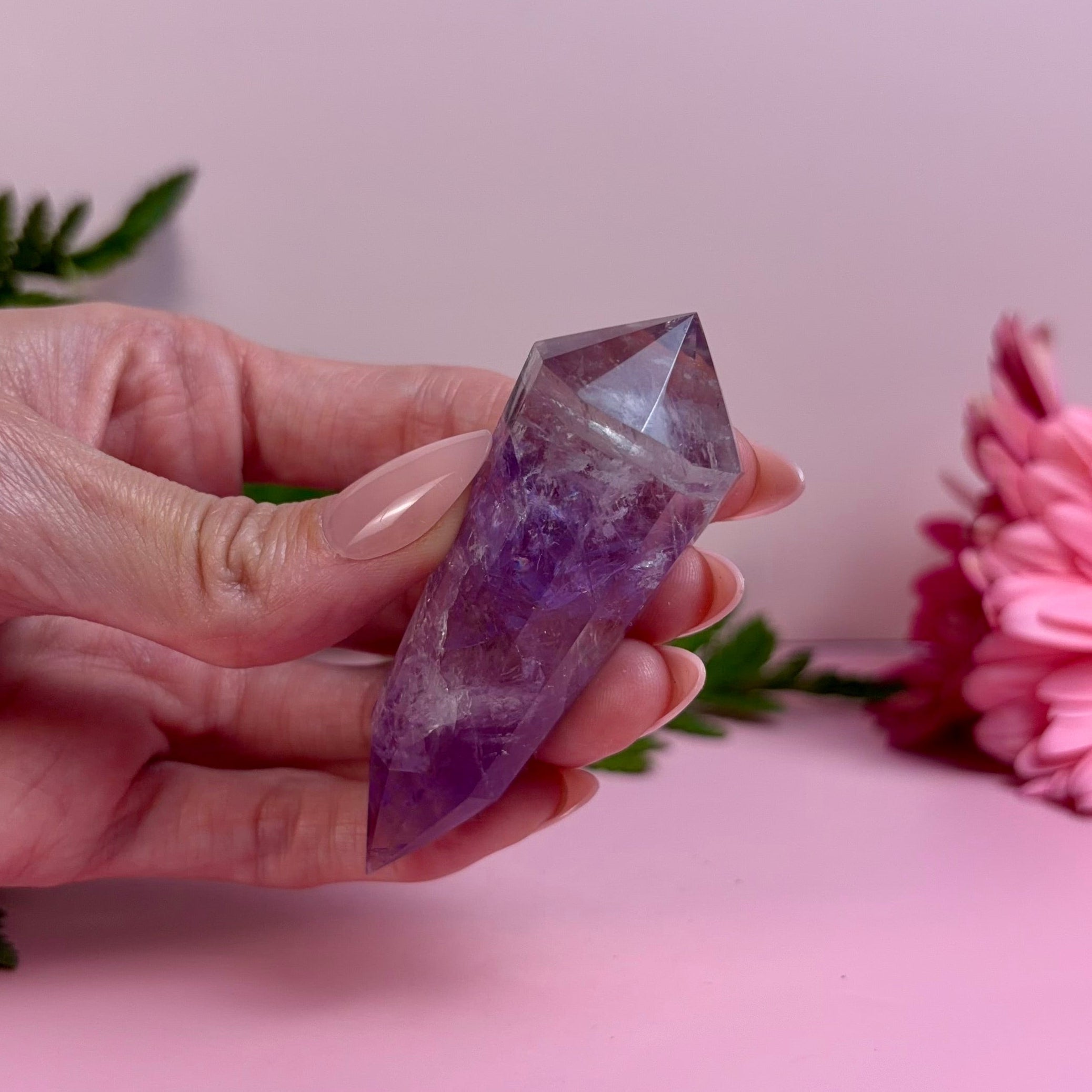 Bahia Amethyst Vogel | B