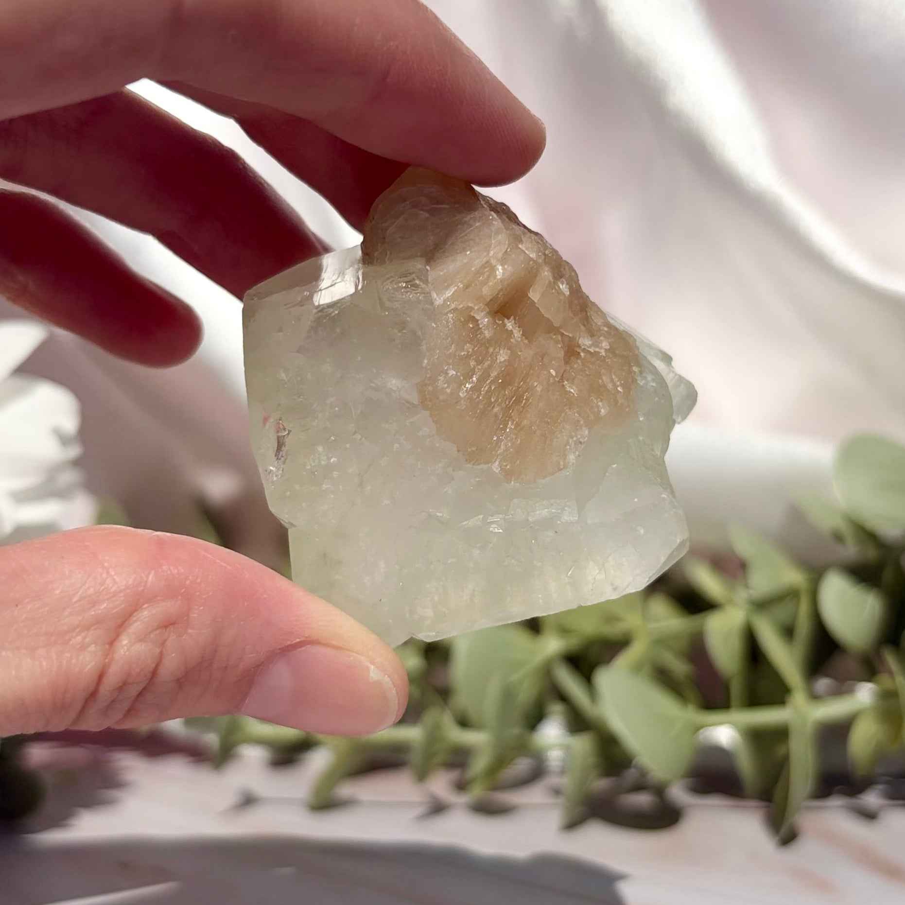 Apophyllite Cube with Stilbite Bloom