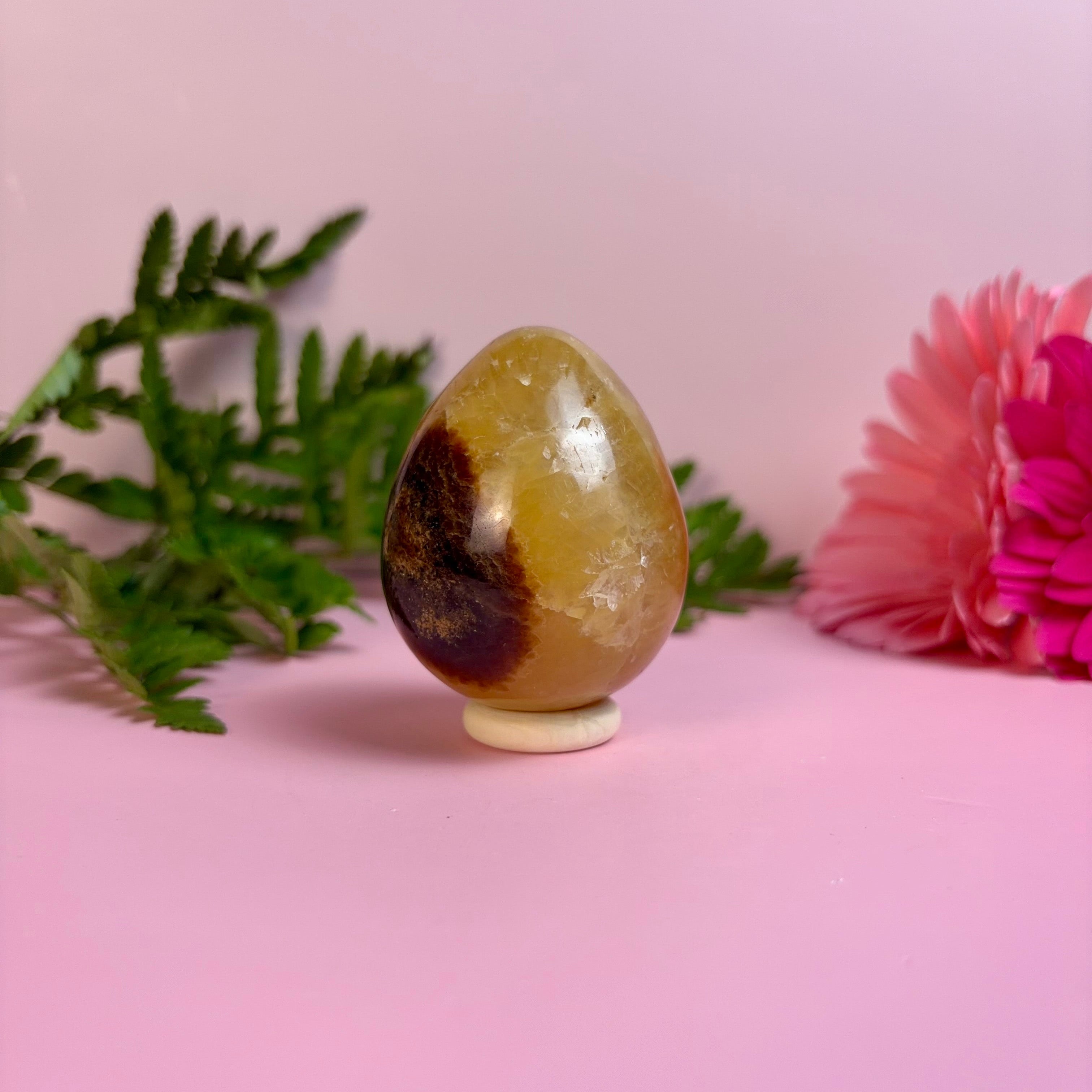 Septarian Egg | B