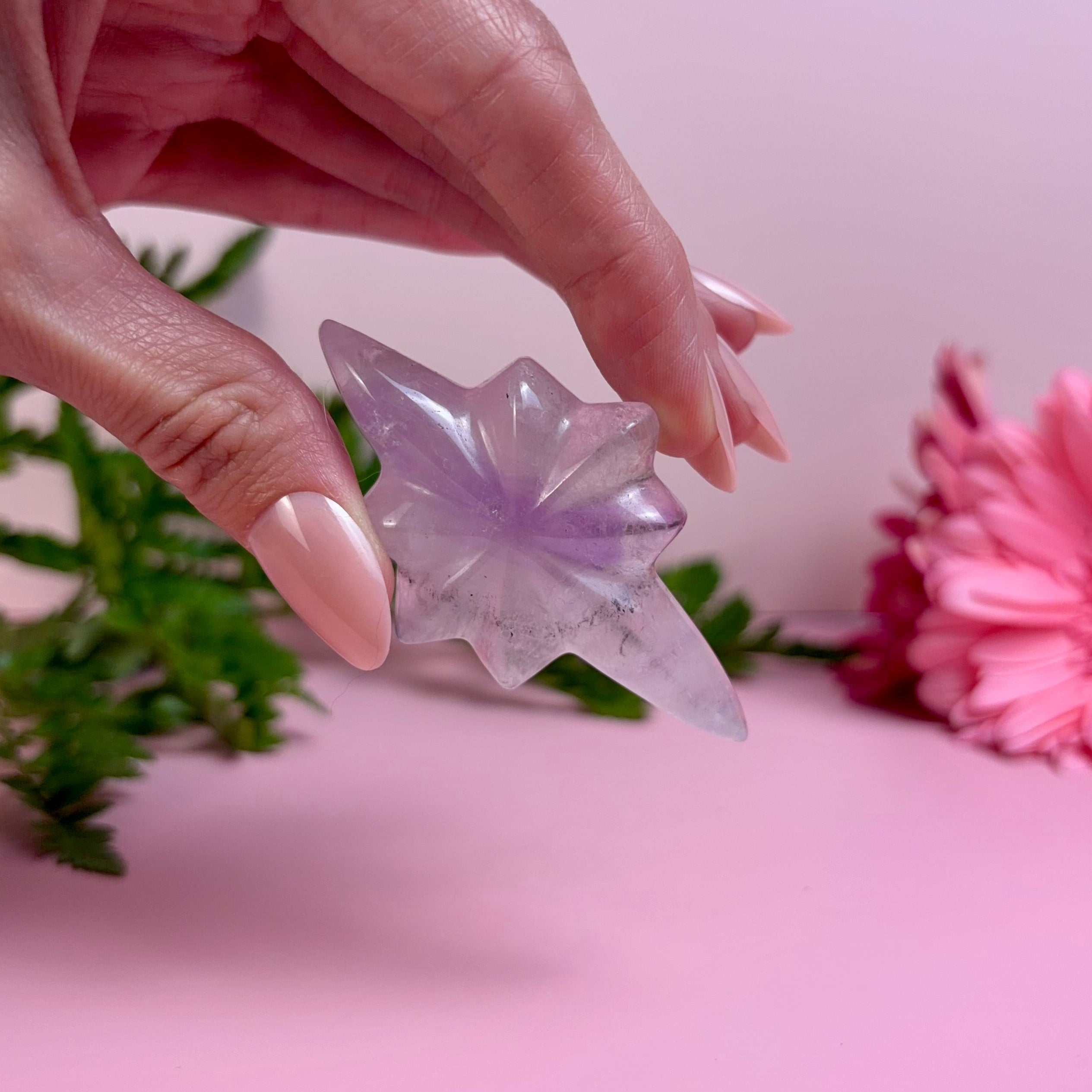 Amethyst Shooting Star | A