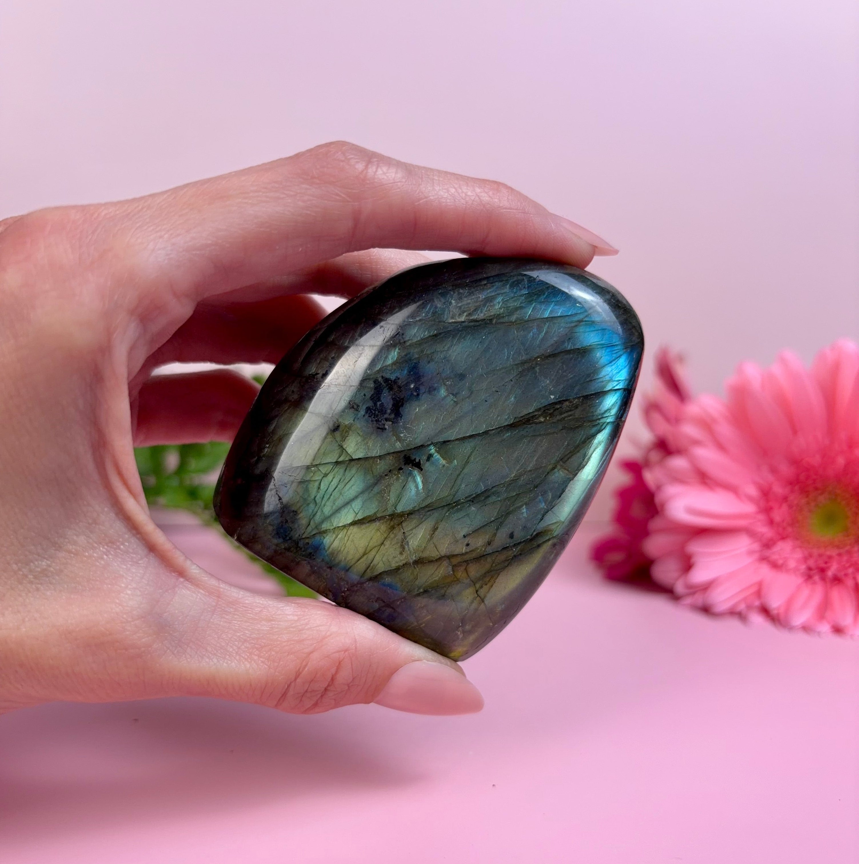 Labradorite Freeform | B