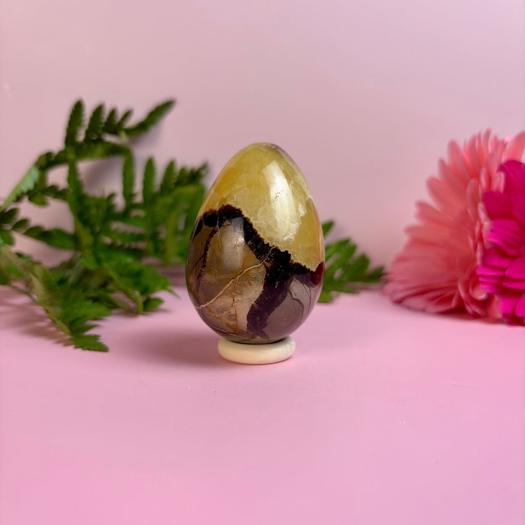 Septarian Egg | A