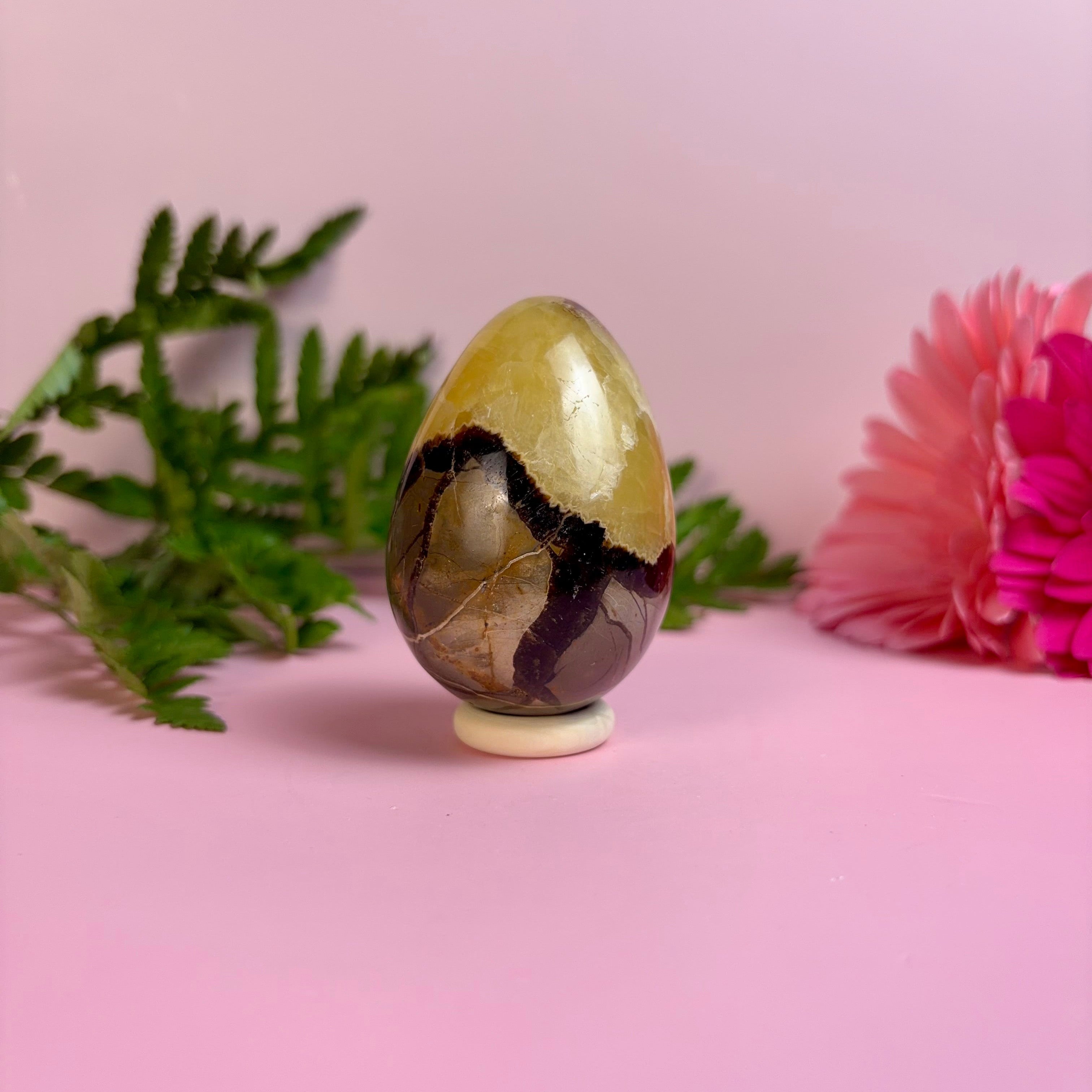 Septarian Egg | A