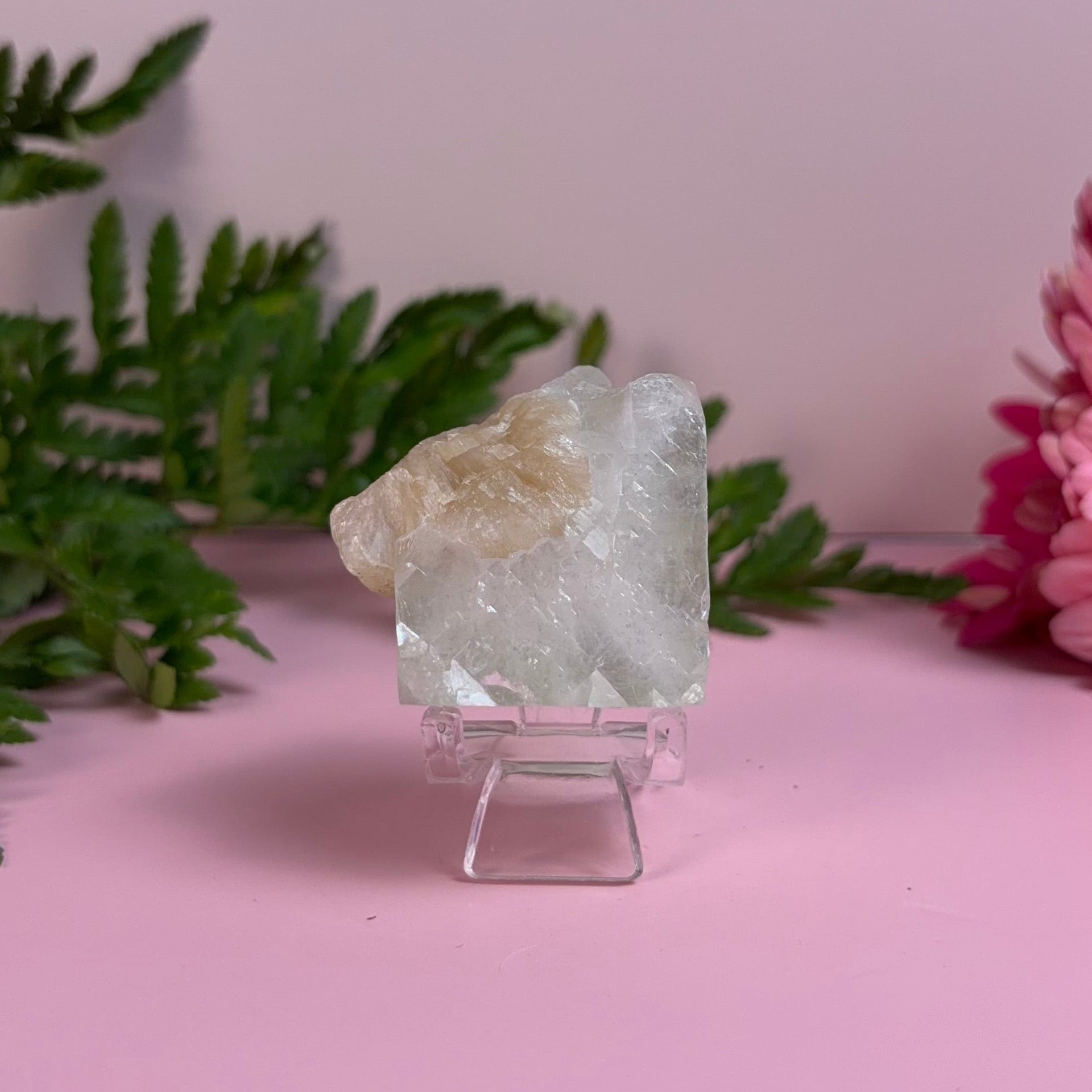 Apophyllite Cube with Stilbite Bloom