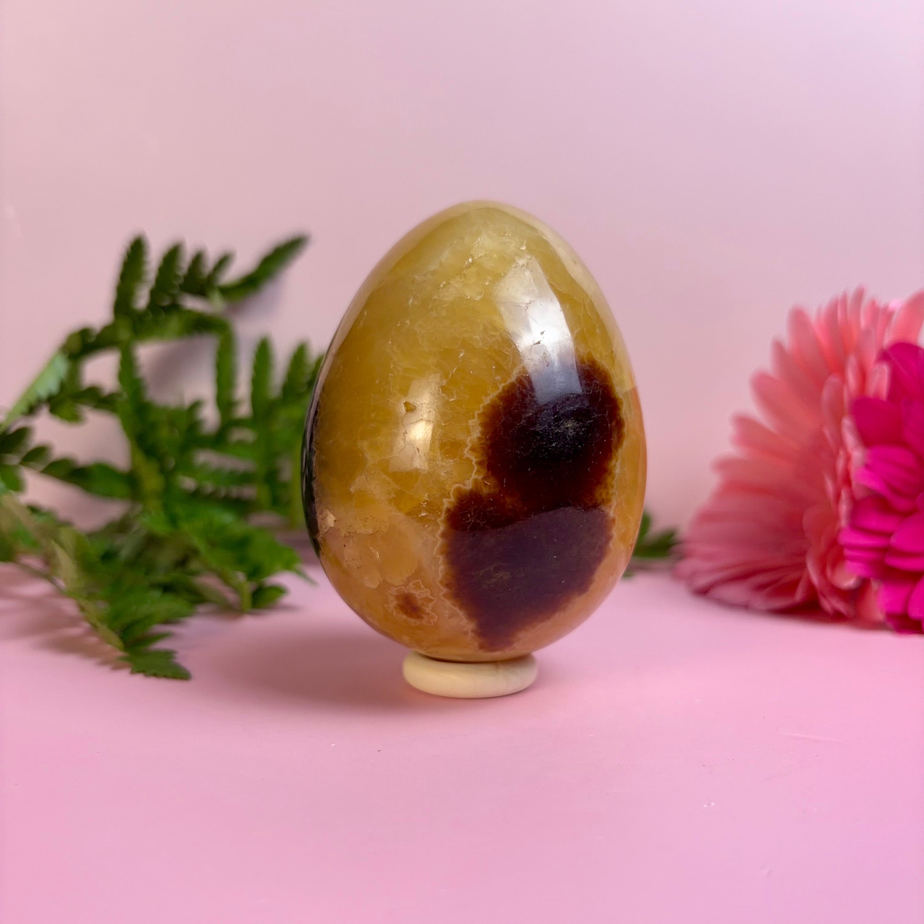 Septarian Egg | F