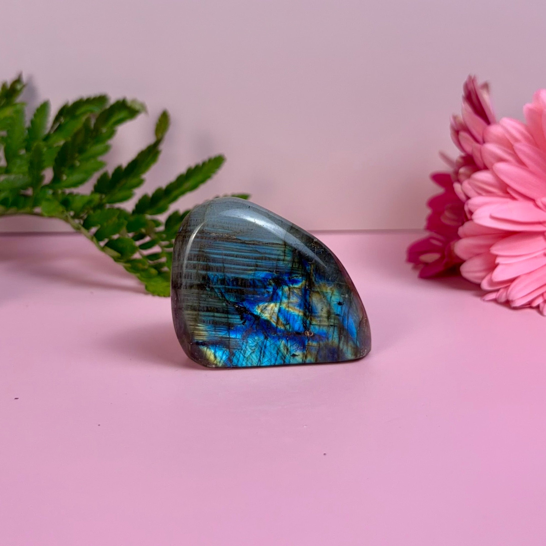 Labradorite Freeform | A