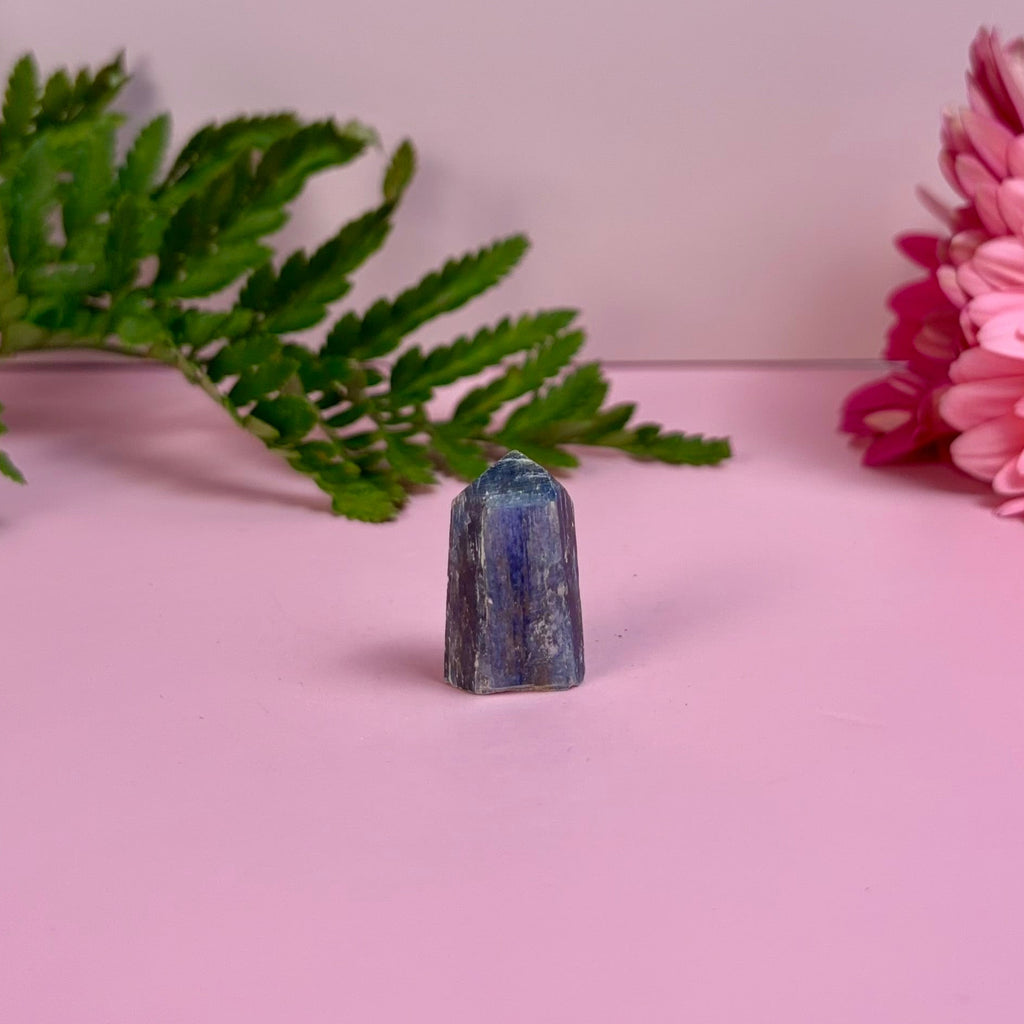 Kyanite & Garnet Tower | B