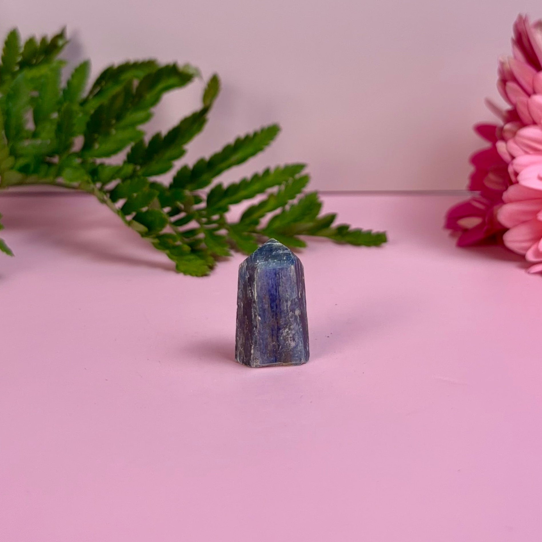 Kyanite & Garnet Tower | B
