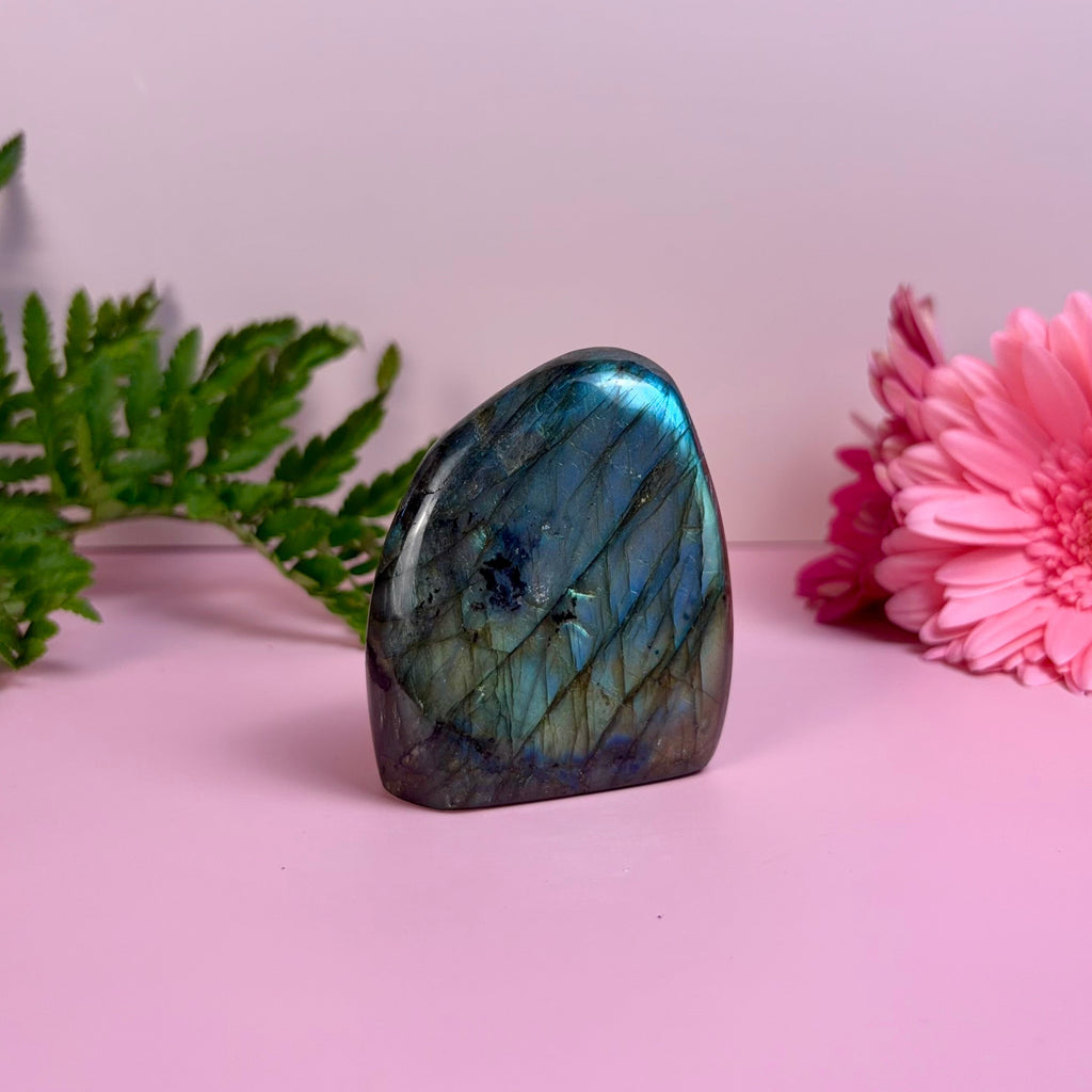 Labradorite Freeform | B