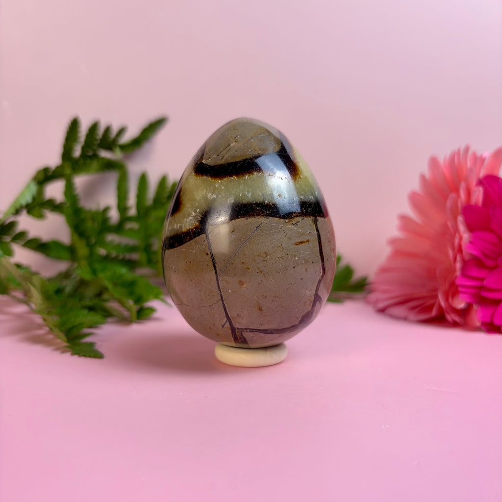 Septarian Egg | E