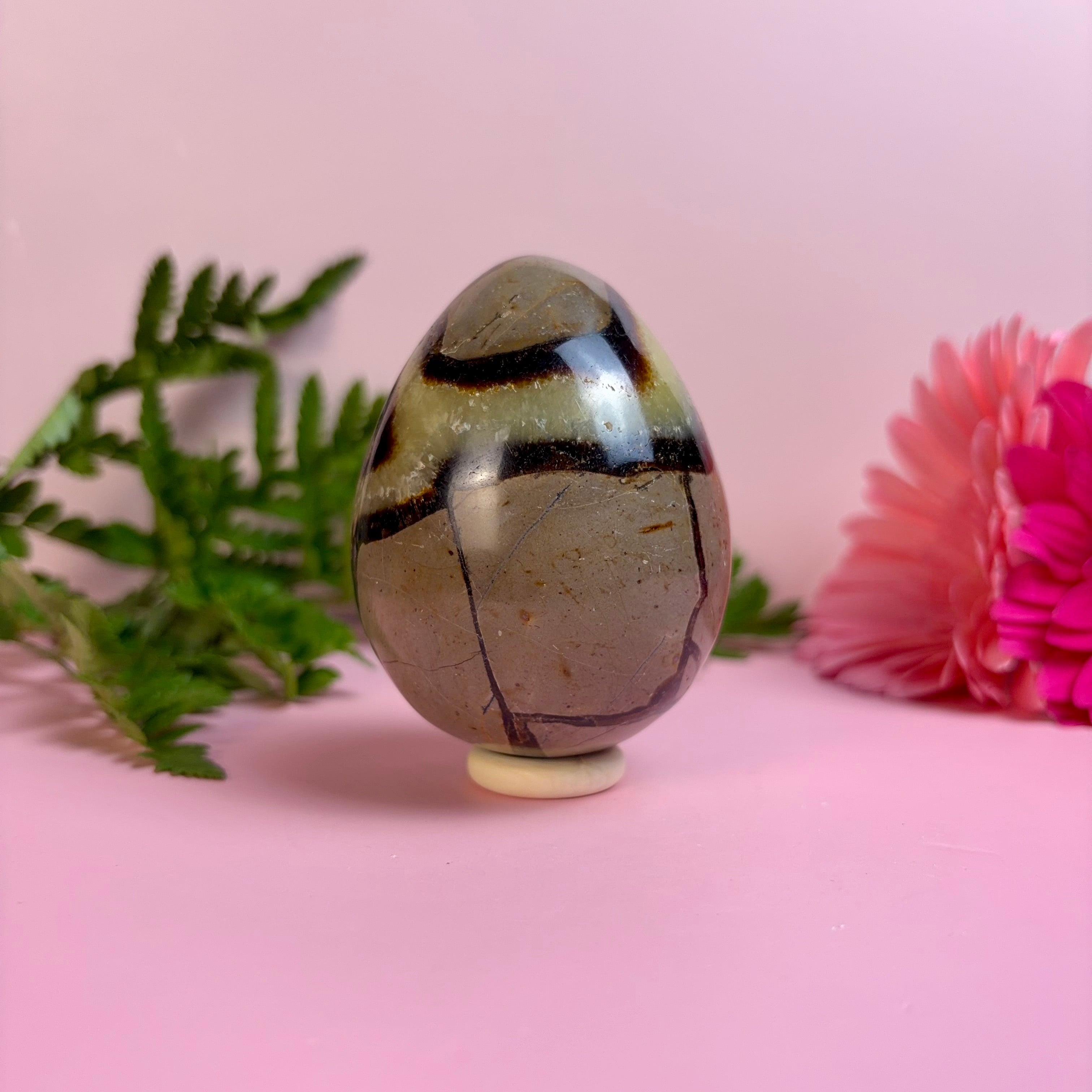 Septarian Egg | E