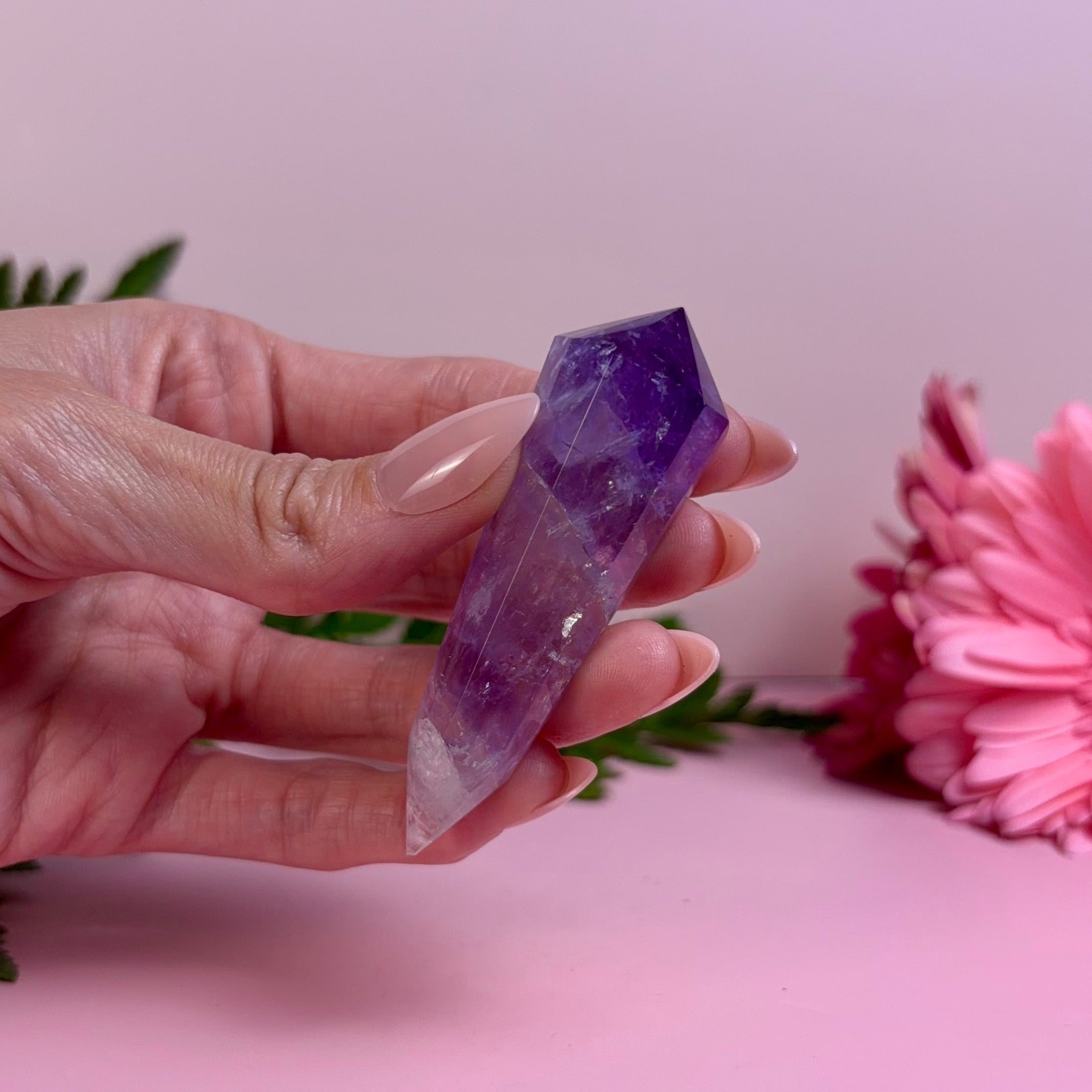 Bahia Amethyst Vogel | A