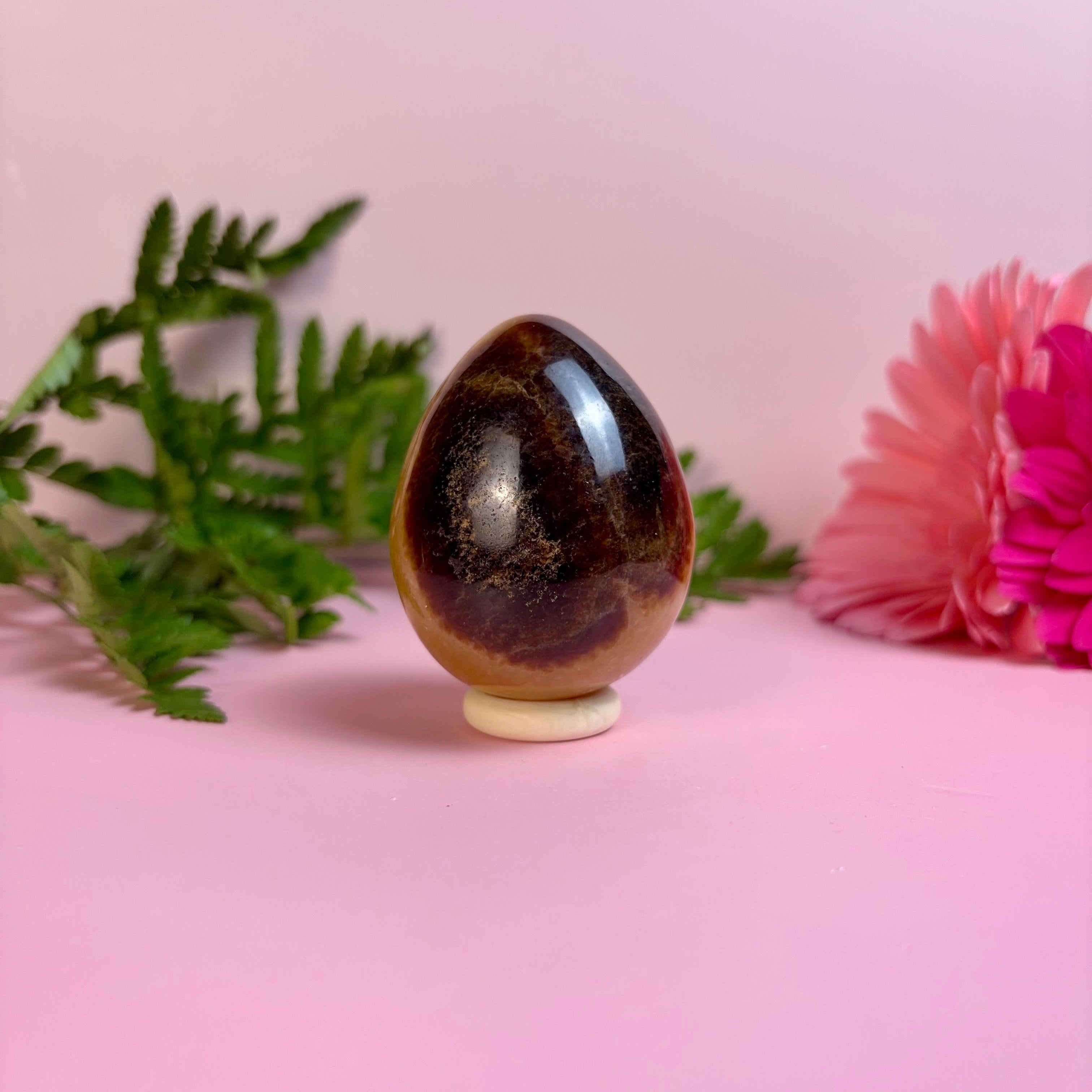 Septarian Egg | B