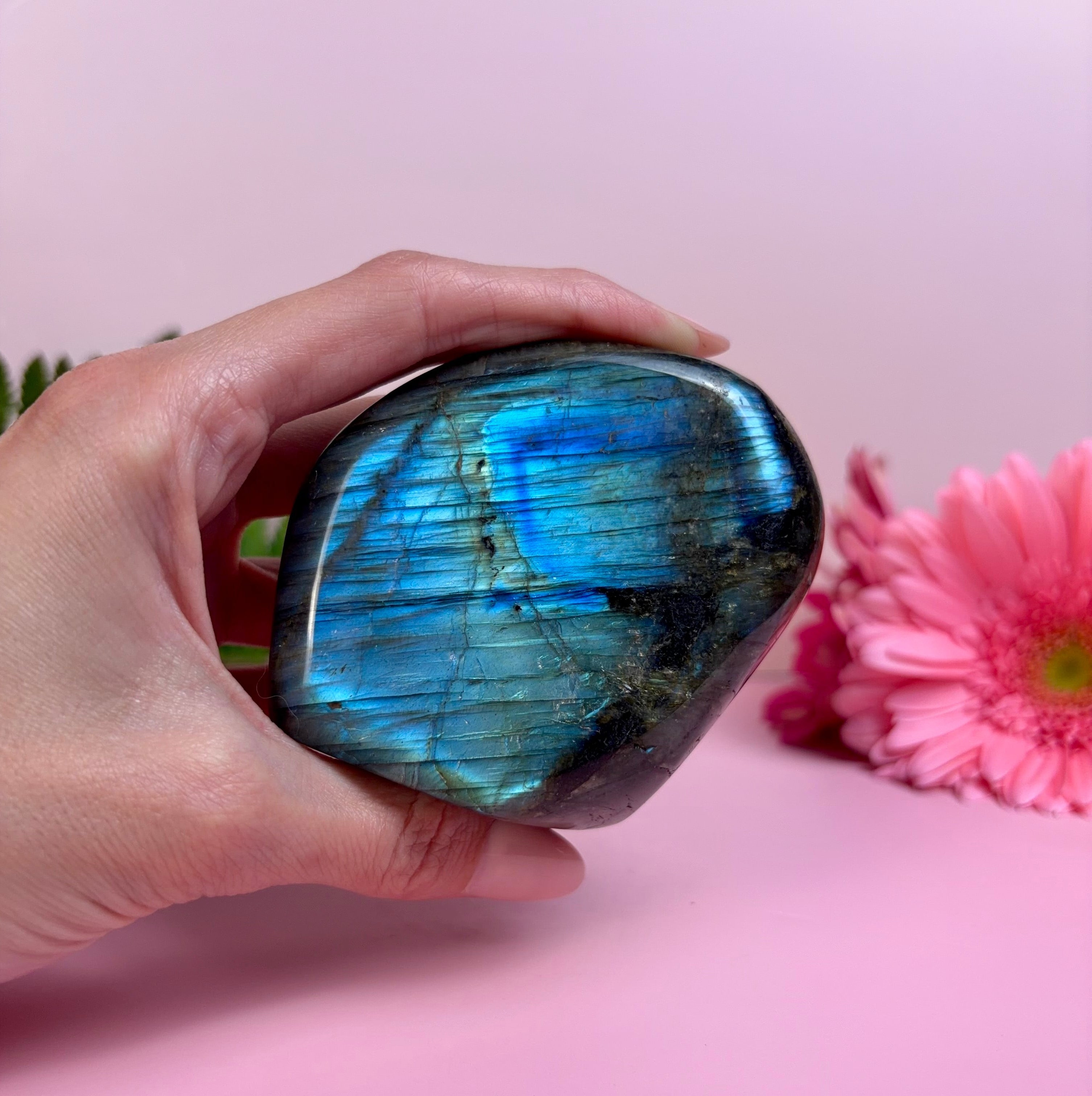 Labradorite Freeform | E