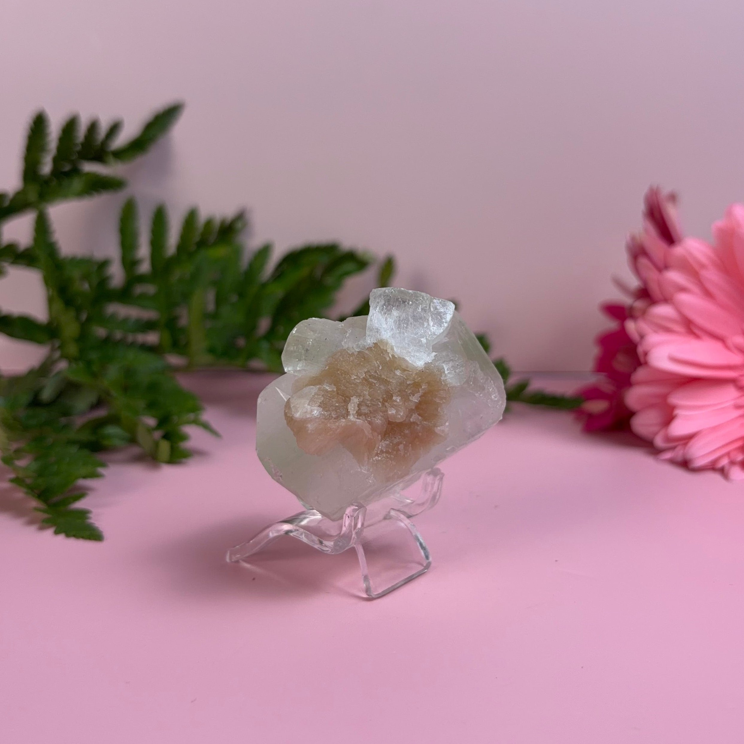 Apophyllite Cube with Stilbite Bloom