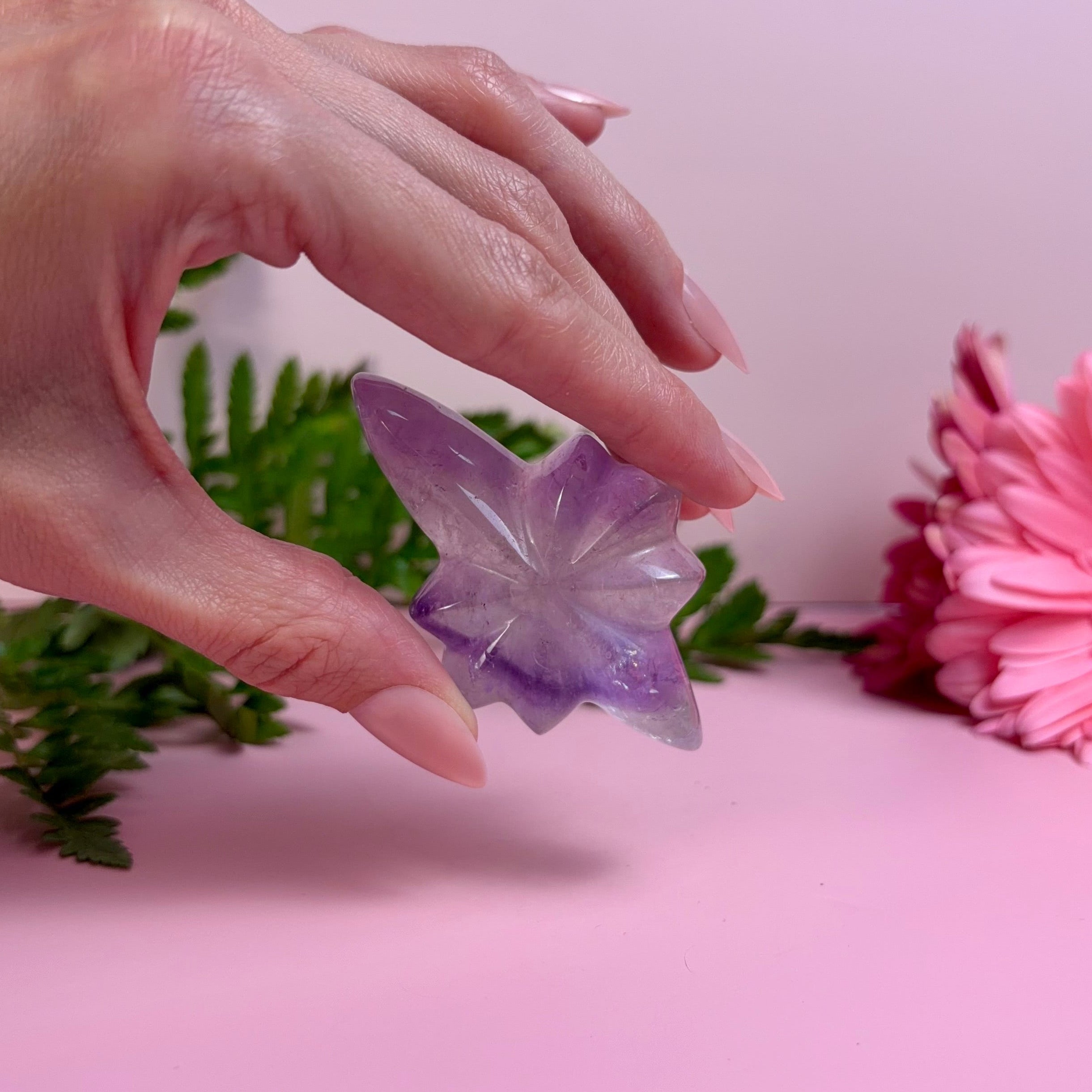 Amethyst Shooting Star | E
