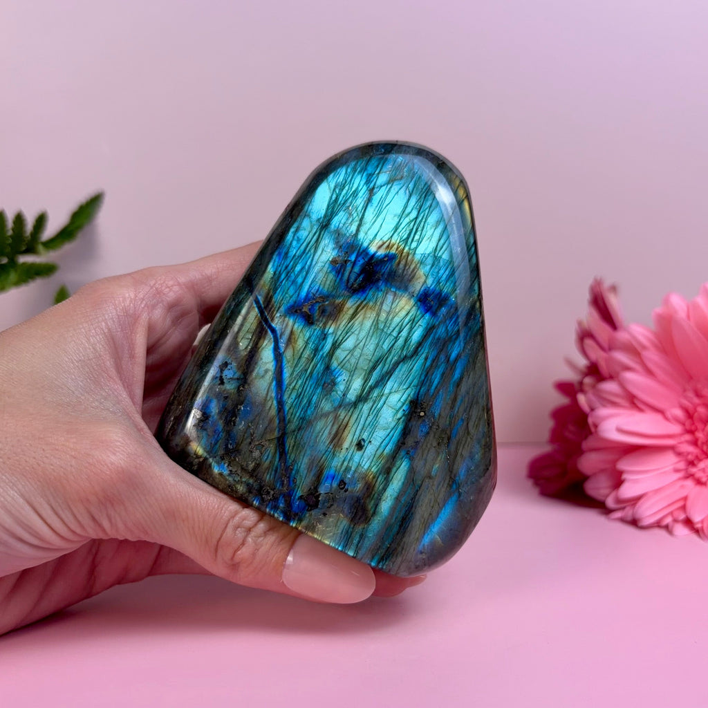Labradorite Freeform | F