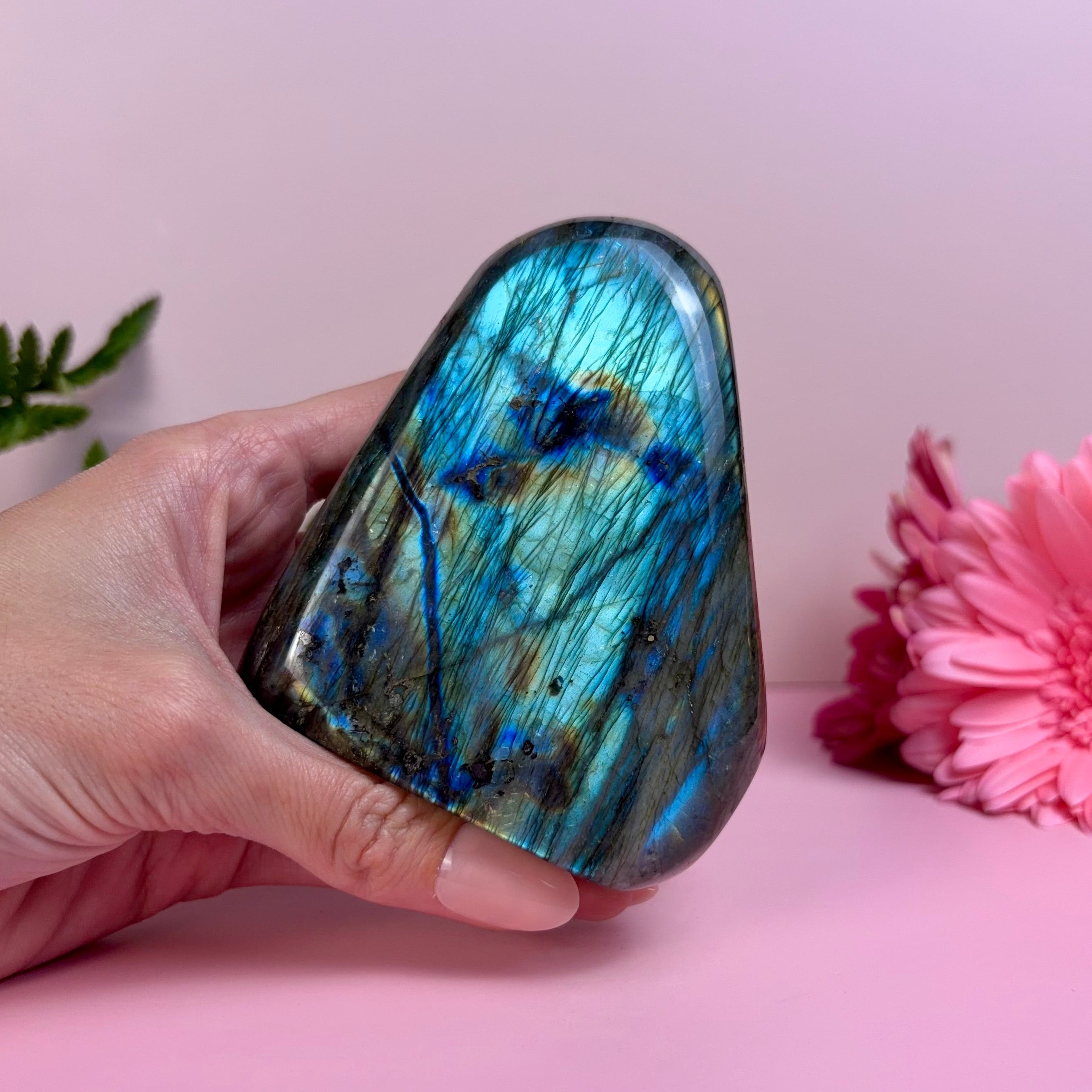 Labradorite Freeform | F
