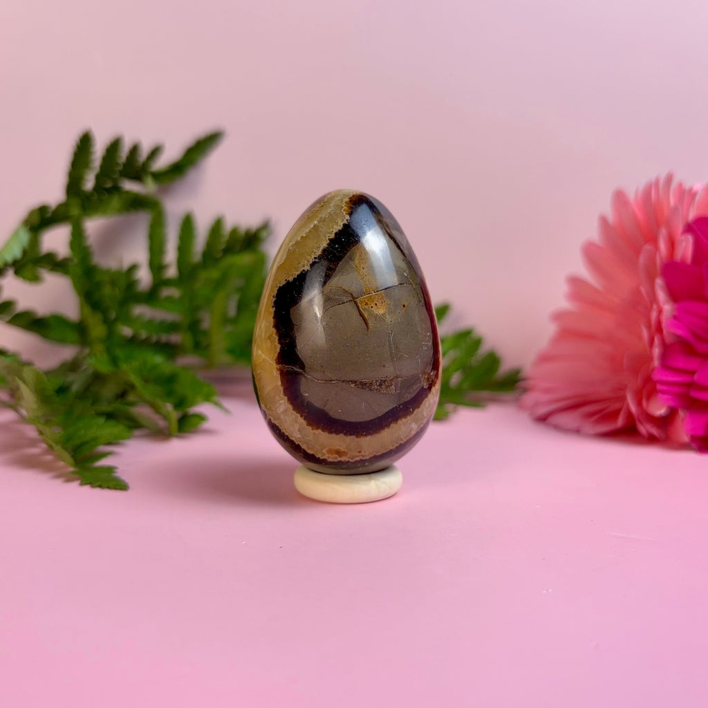 Septarian Egg | A
