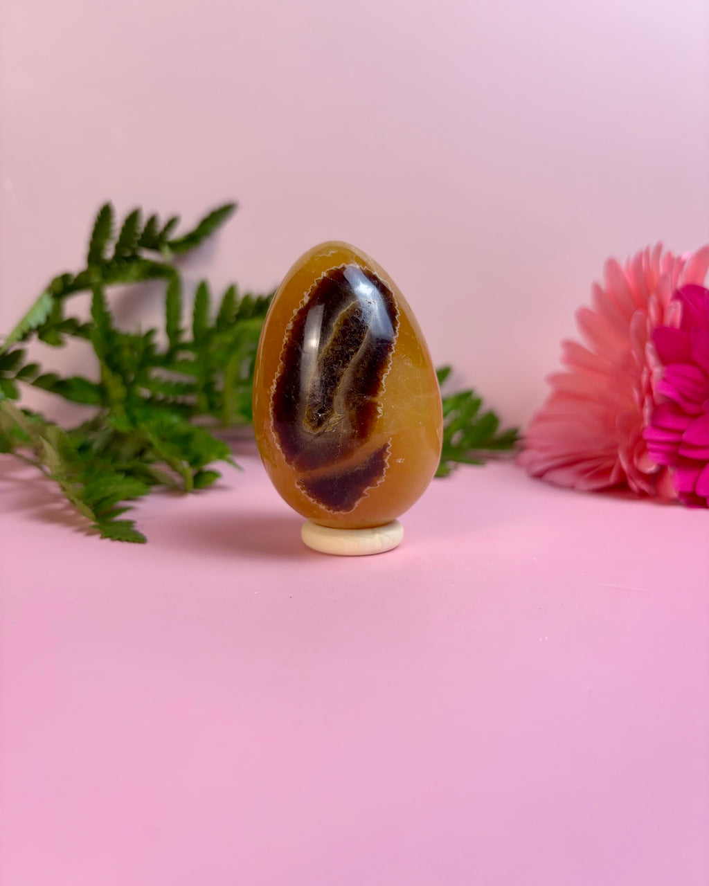 Septarian Egg | C