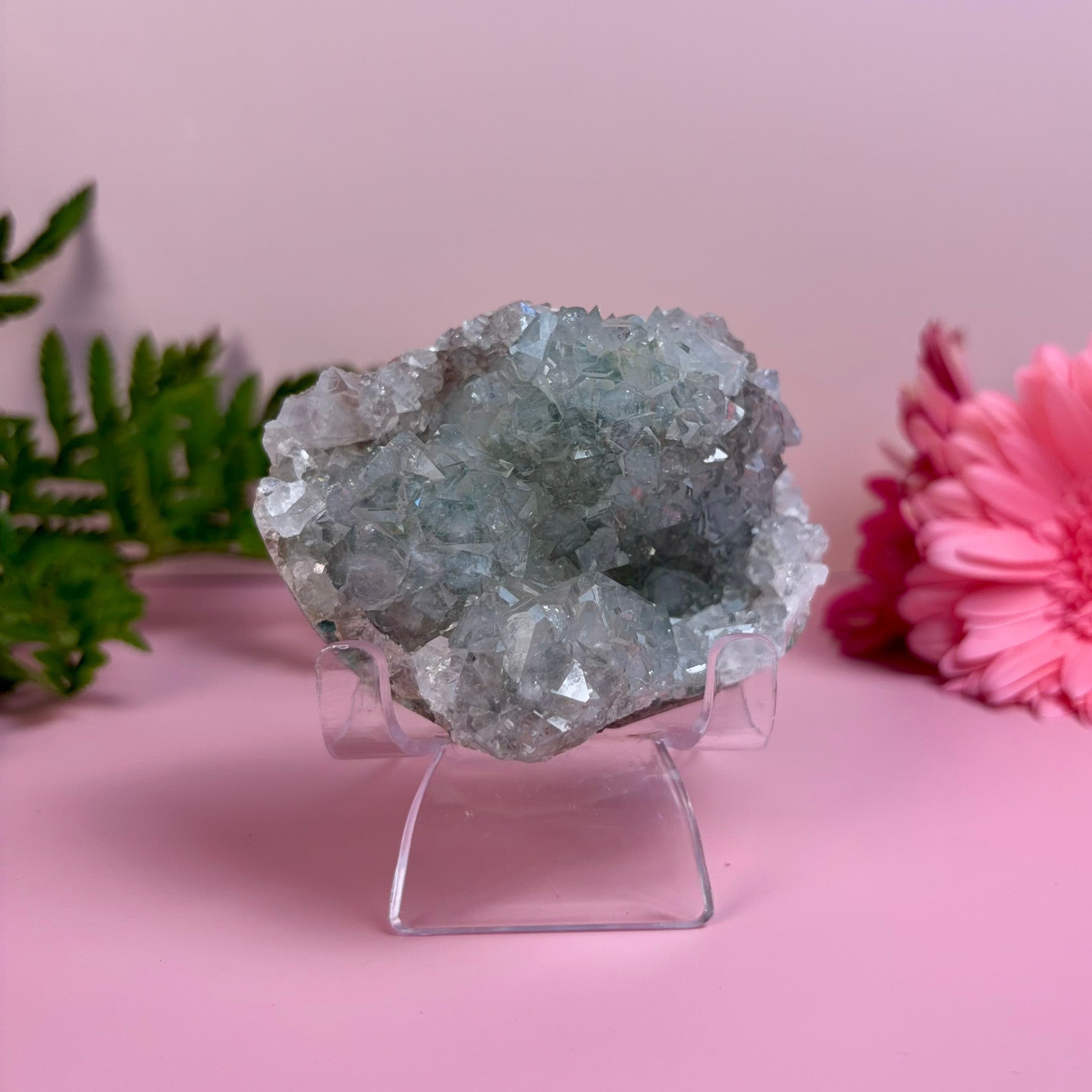 Sparkling Diamond Apophyllite Cluster
