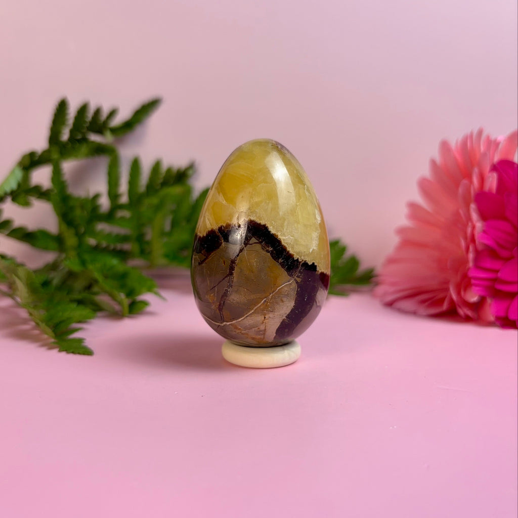 Septarian Egg | A