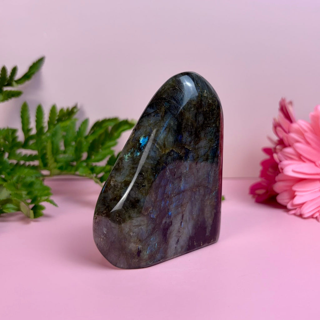 Labradorite Freeform | F