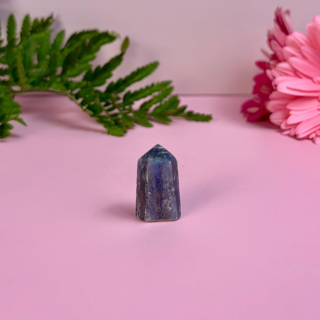 Kyanite & Garnet Tower | B