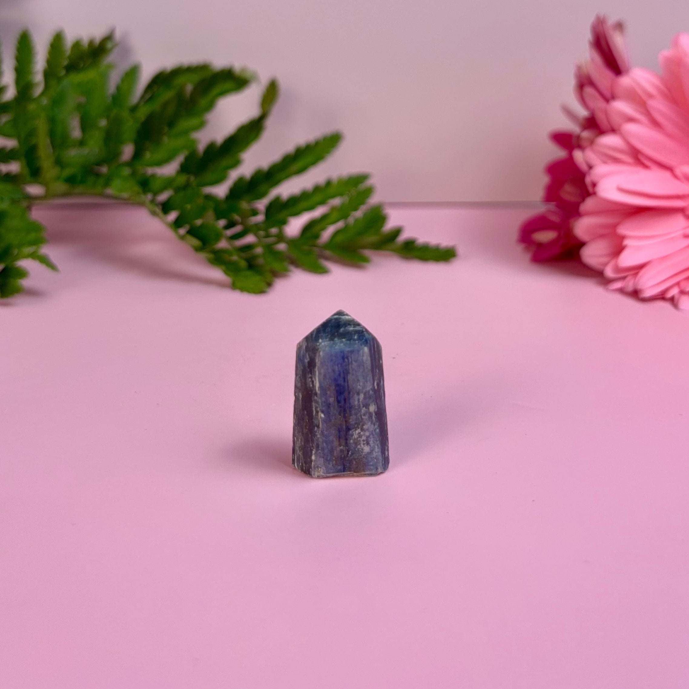 Kyanite & Garnet Tower | B