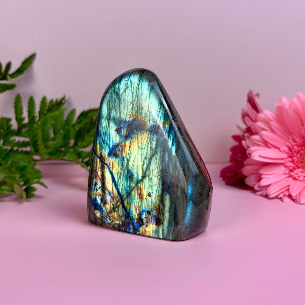 Labradorite Freeform | F