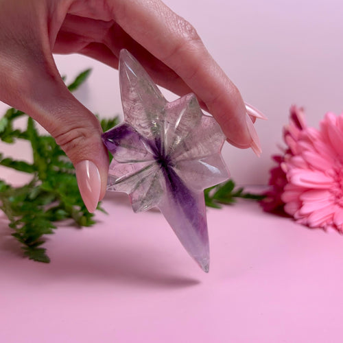Amethyst Shooting Star | F