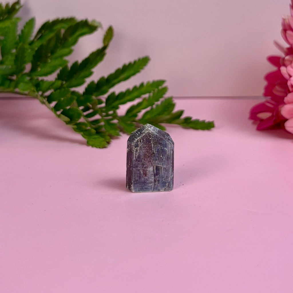 Kyanite & Garnet Tower | D