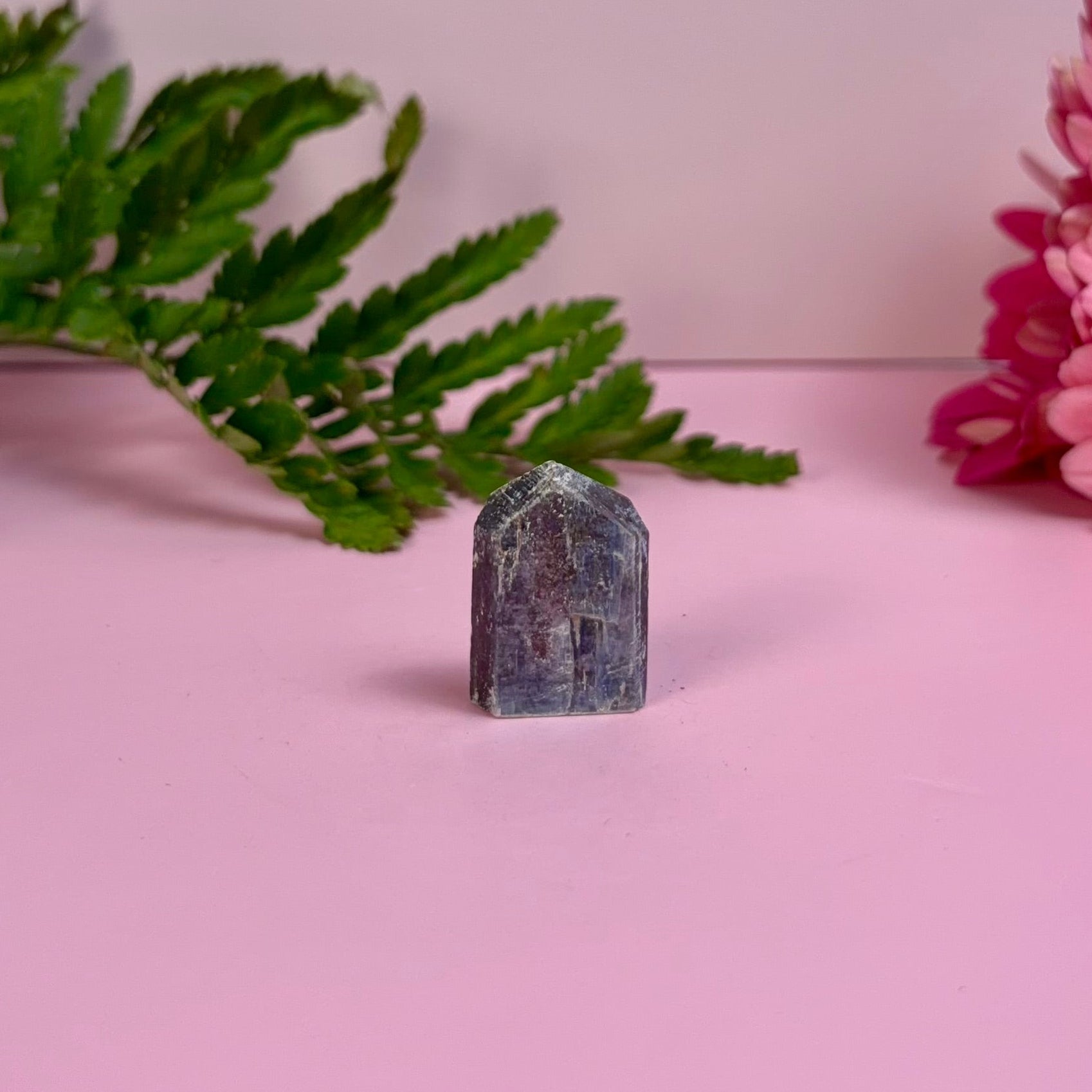 Kyanite & Garnet Tower | D
