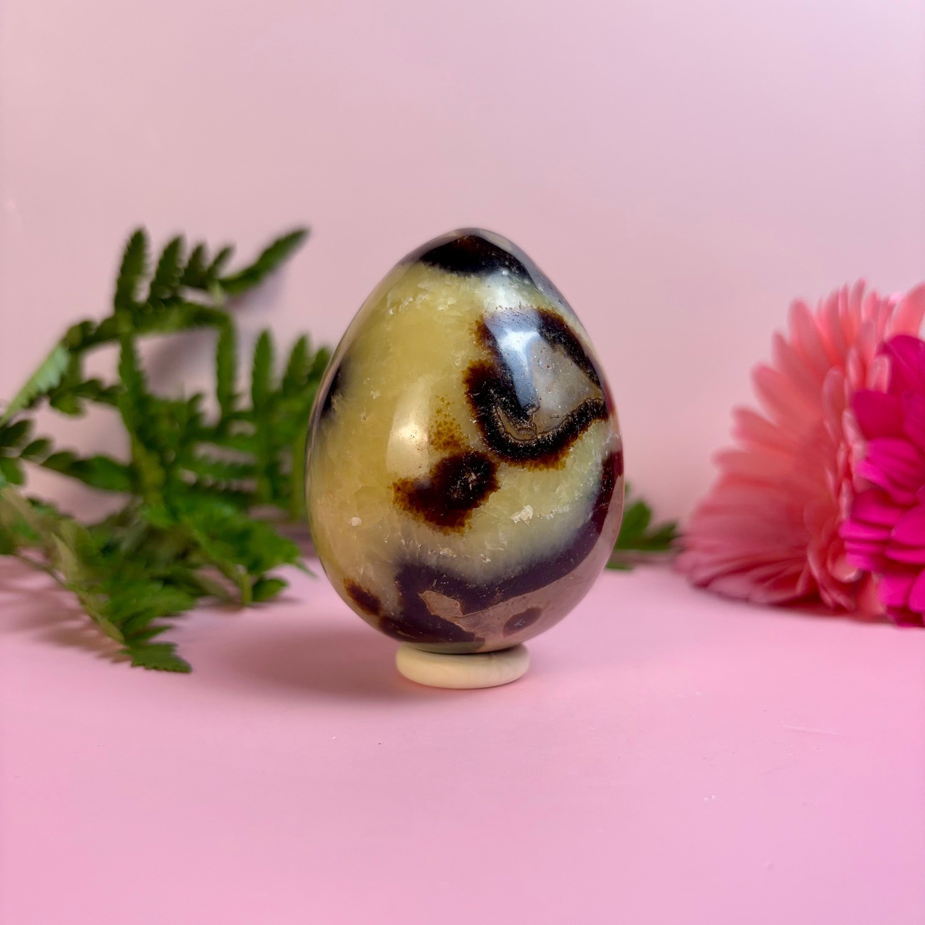 Septarian Egg | E