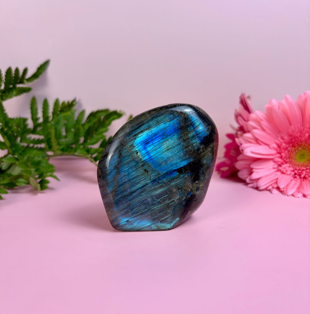 Labradorite Freeform | E