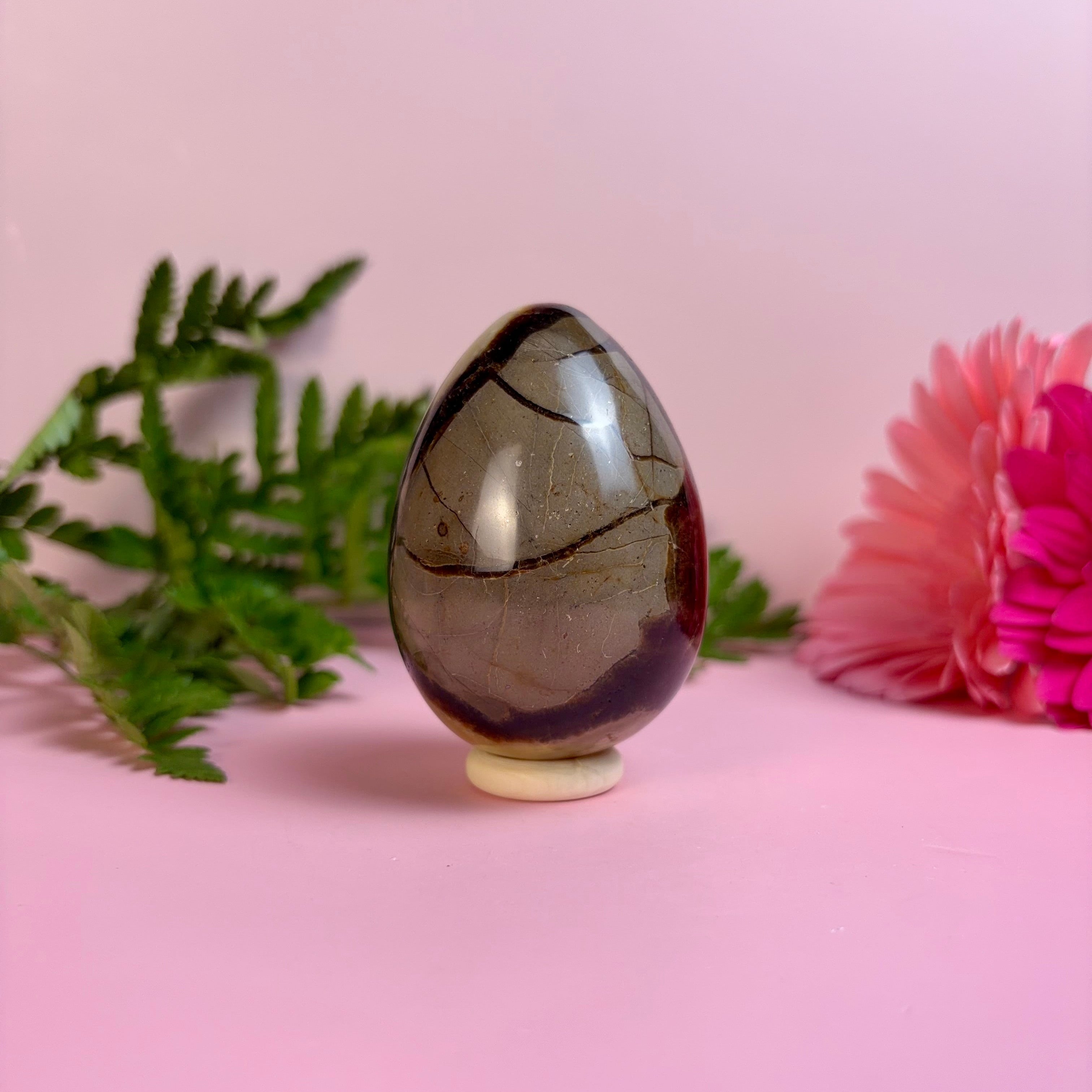Septarian Egg | D