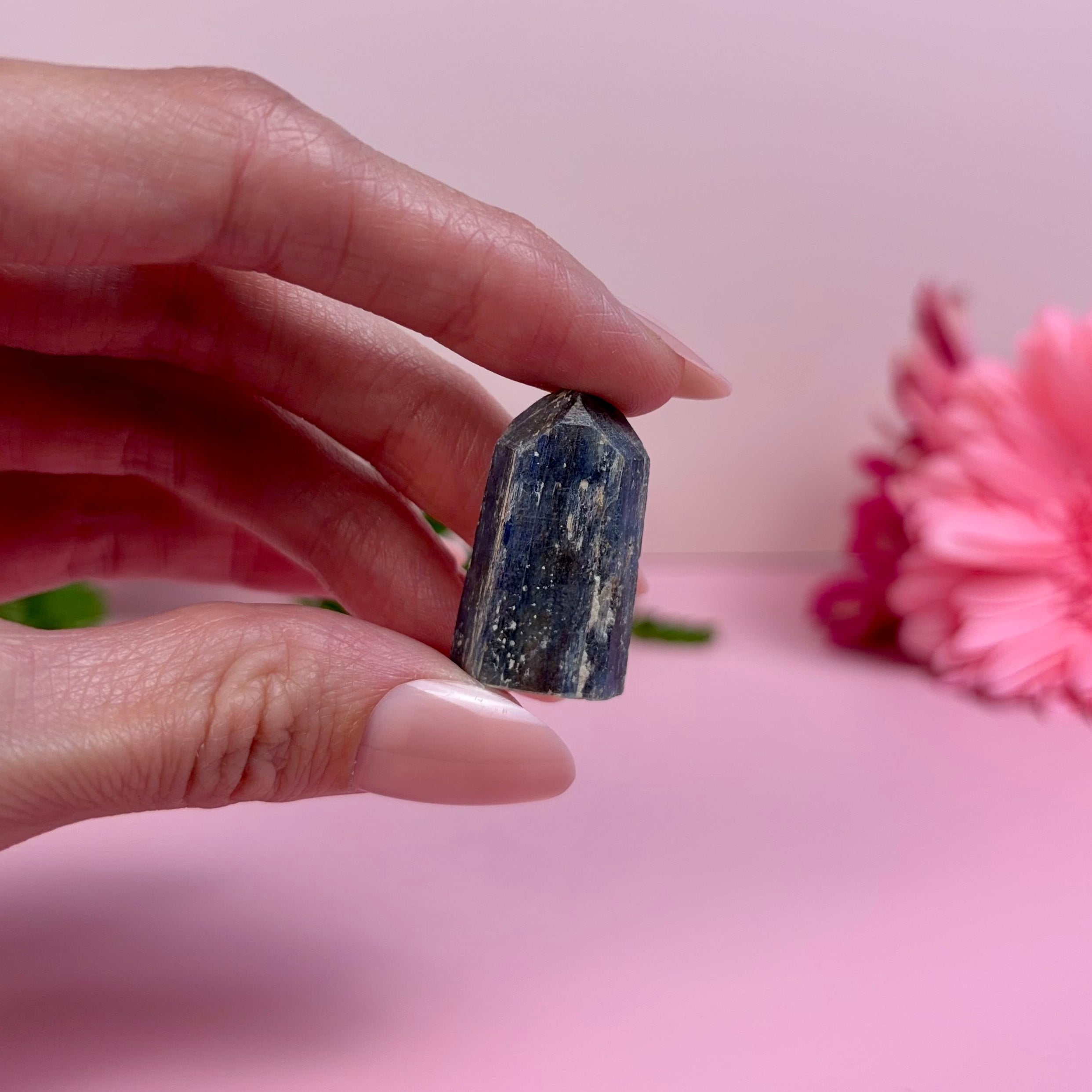 Kyanite & Garnet Tower | B