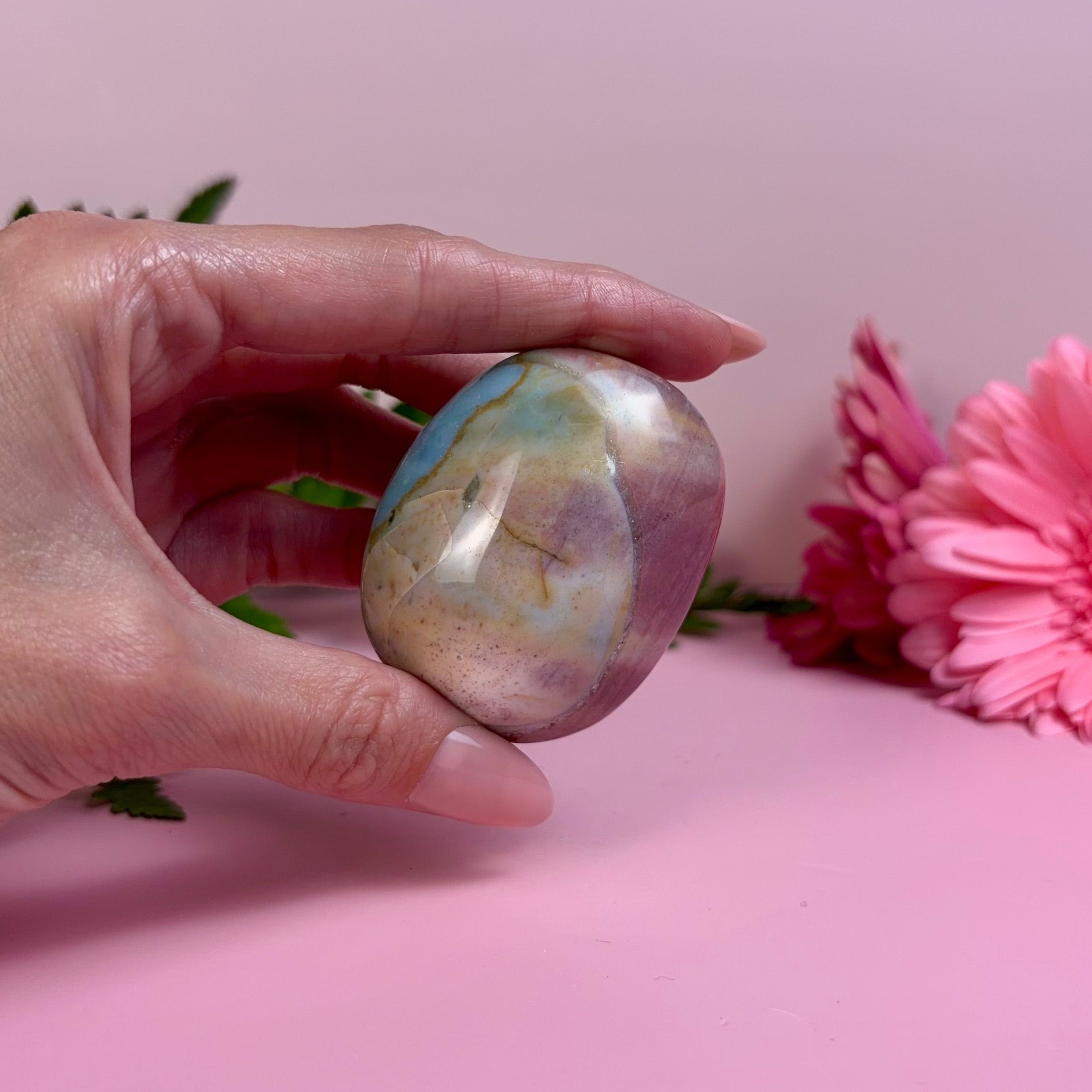 Sea Jasper Palm Stone | I