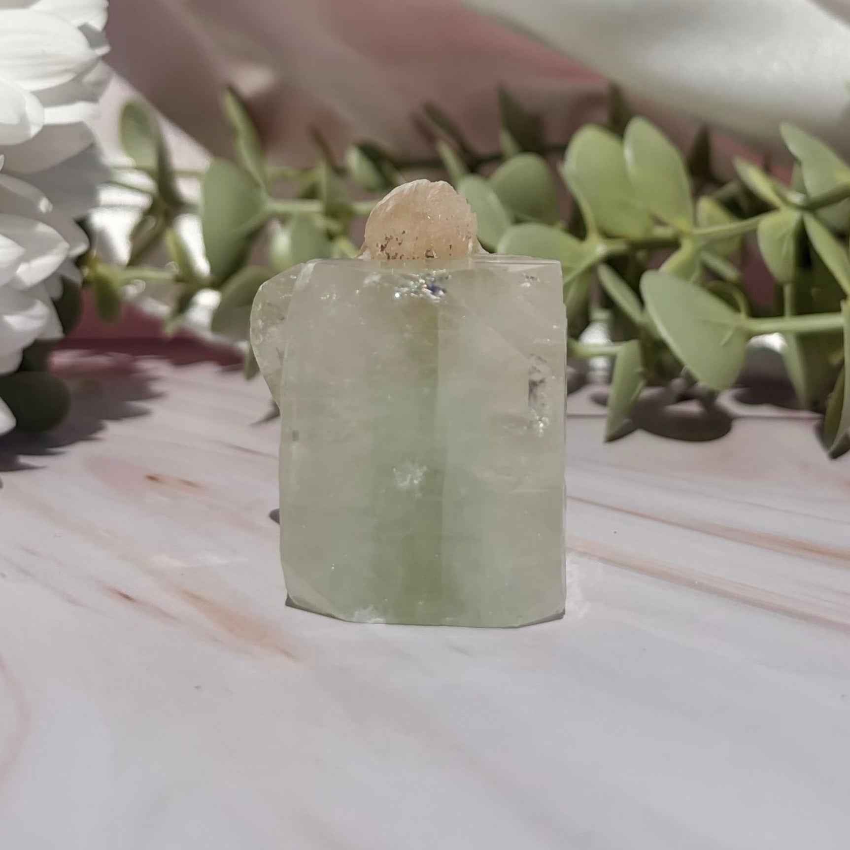 Apophyllite Cube with Stilbite Bloom
