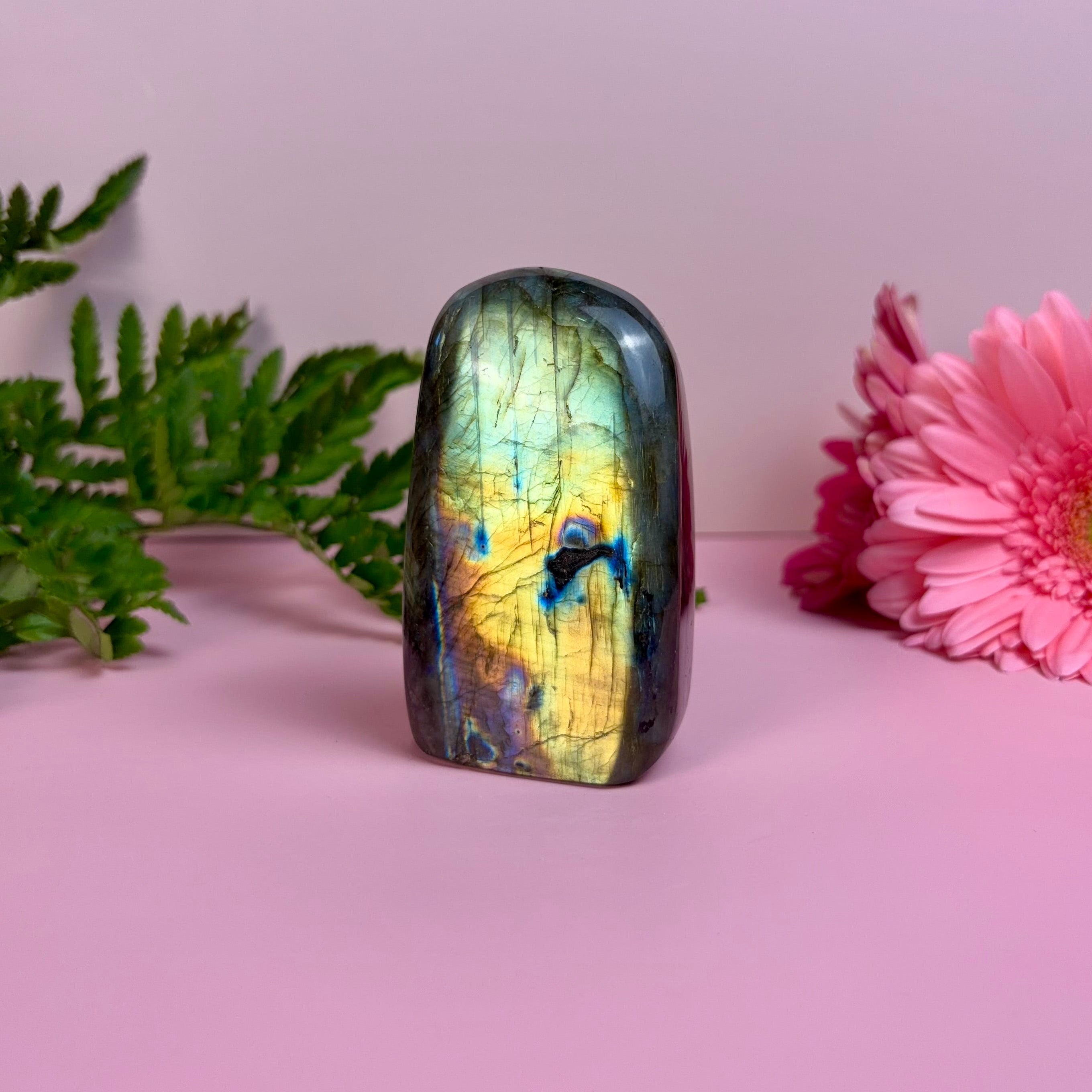 Labradorite Freeform | C