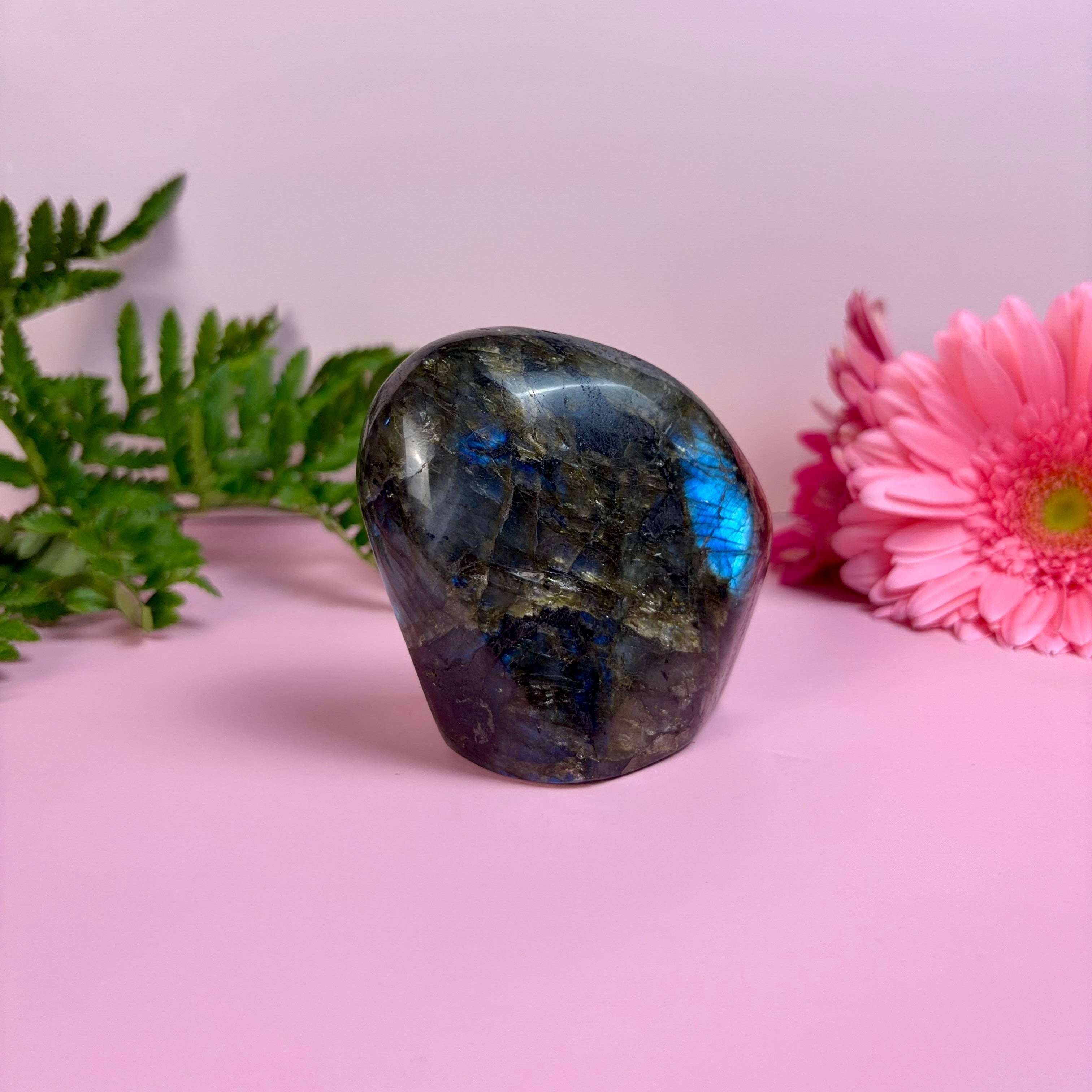 Labradorite Freeform | E